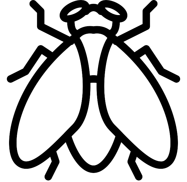 Fly icon